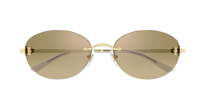 Cartier CT0642SA 002 54