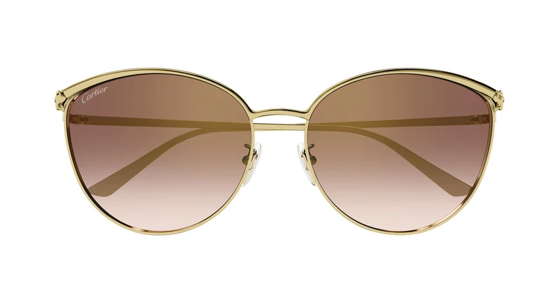 Cartier CT0597SA 003 61