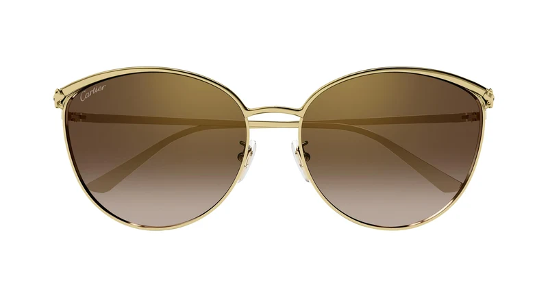 Cartier CT0597SA 002 61