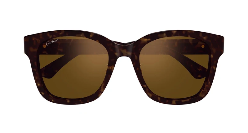 Cartier CT0589SA 002 54
