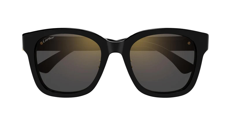 Cartier CT0589SA 001 54