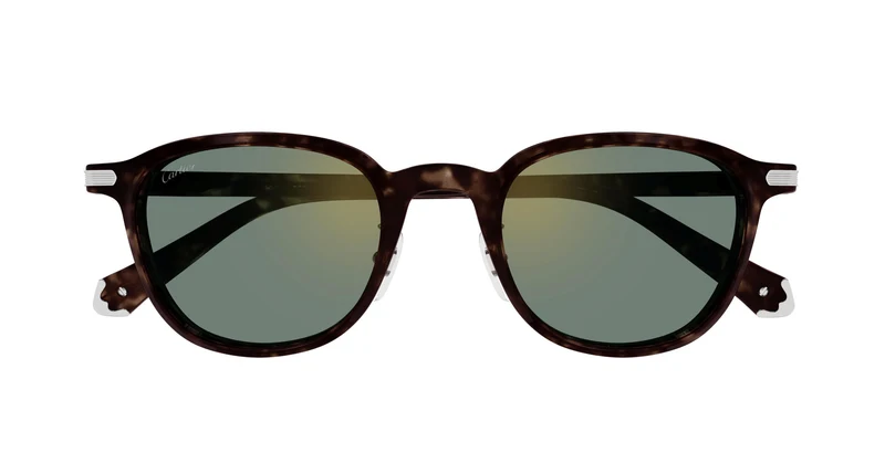 Cartier CT0541SA 006 53