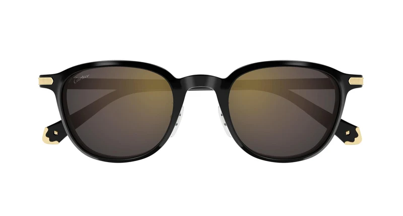 Cartier CT0541SA 005 53