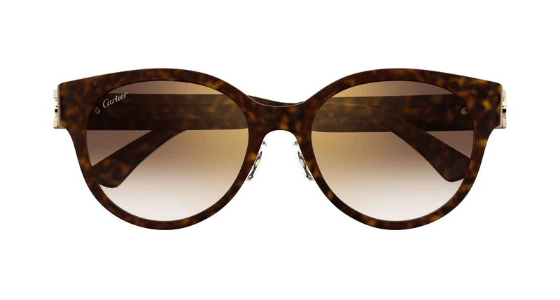 Cartier CT0510SJ 002 55