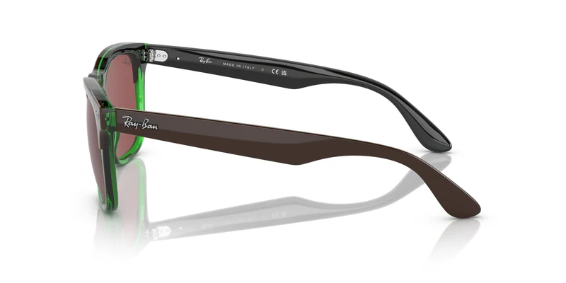 Ray-Ban RB4487 STEVE 663469 54