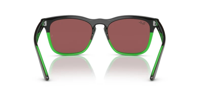 Ray-Ban RB4487 STEVE 663469 54