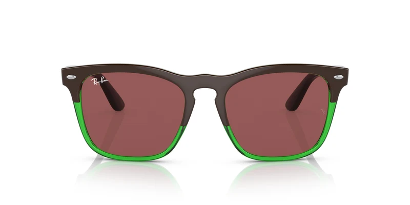 Ray-Ban RB4487 STEVE 663469 54