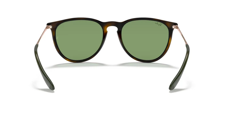 Ray-Ban RB4171 ERIKA 6393/2 54