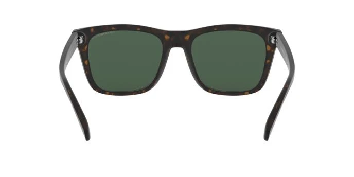 Emporio Armani EA4142 508971 55