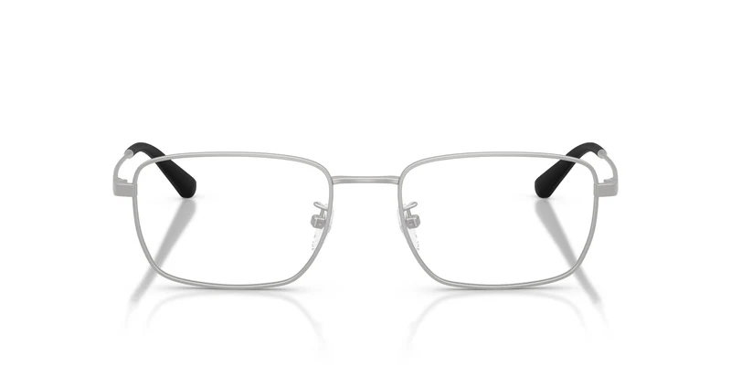 Emporio Armani EA1188TD 3015 54