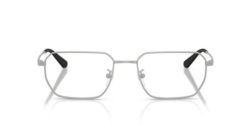 Emporio Armani EA1187TD 3015 55