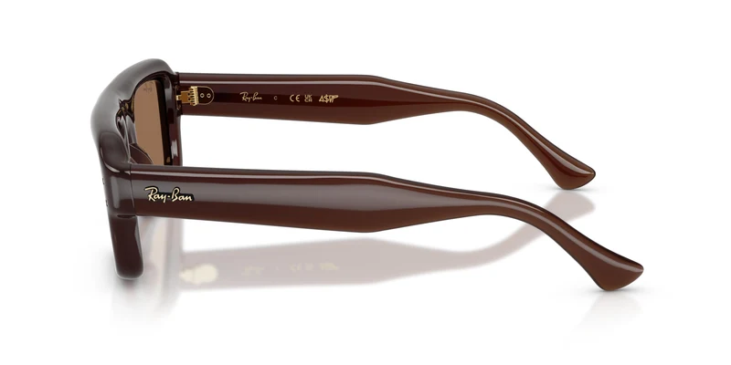 Ray-Ban RB4954 689673 54