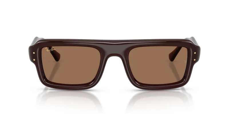 Ray-Ban RB4954 689673 52