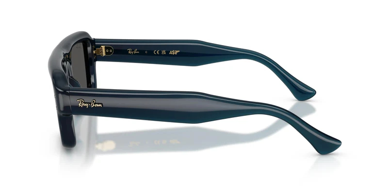 Ray-Ban RB4954 689587 54