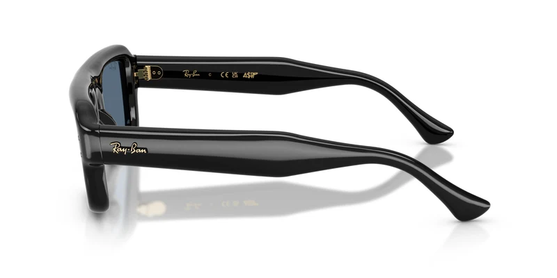 Ray-Ban RB4954 601/80 54