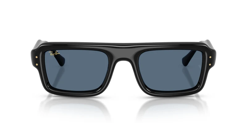 Ray-Ban RB4954 601/80 54