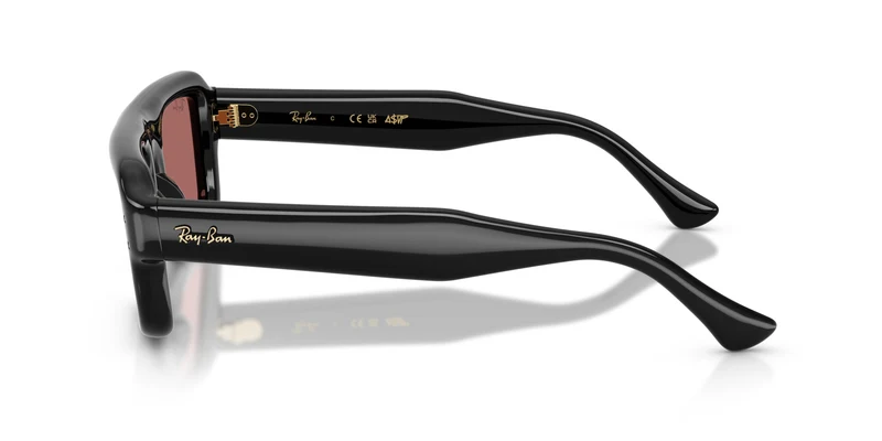 Ray-Ban RB4954 601/69 52