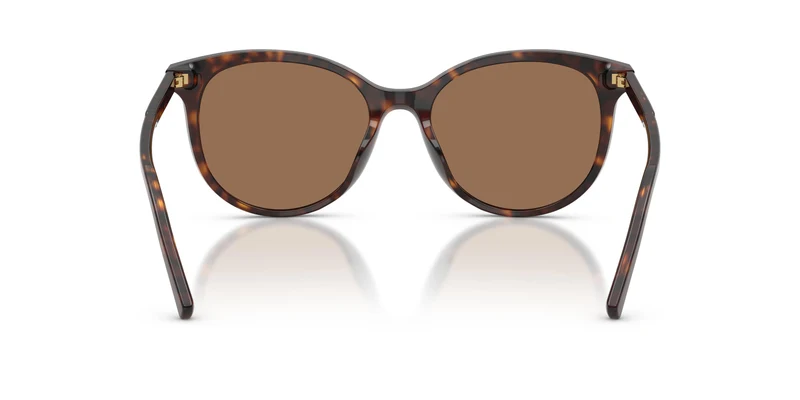Dolce & Gabbana DG4540 502/13 55