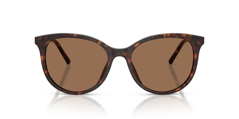 Dolce & Gabbana DG4540 502/13 55