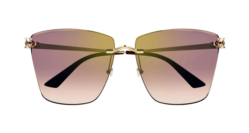 Cartier CT0397S 003 61