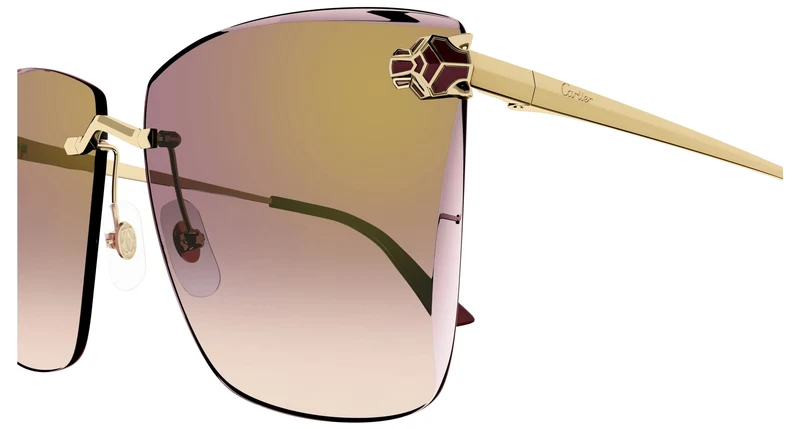Cartier CT0397S 003 61