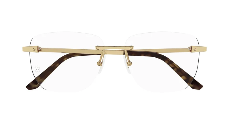 Cartier CT0336O 001 58