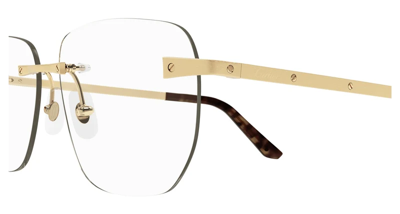 Cartier CT0336O 001 58