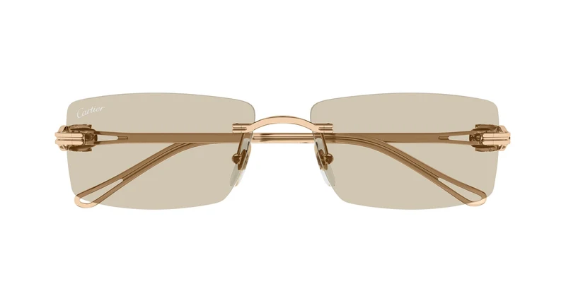 Cartier CT0647S 003 57