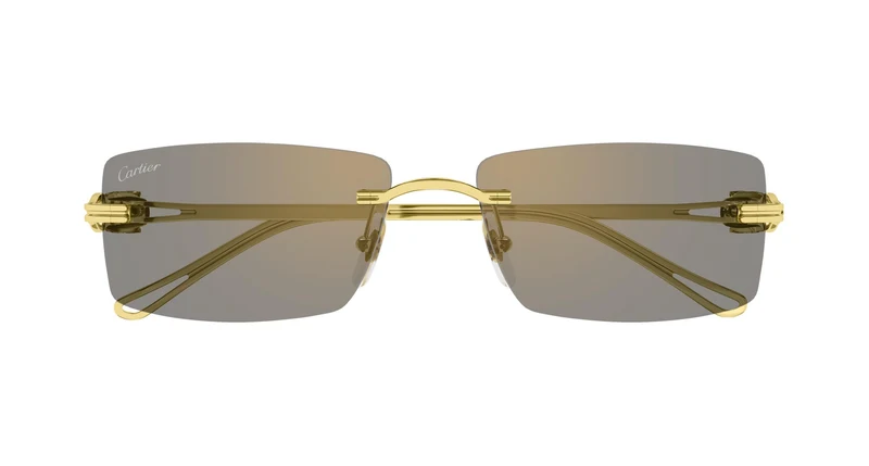 Cartier CT0647S 002 57