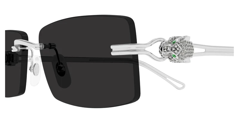 Cartier CT0647S 001 57