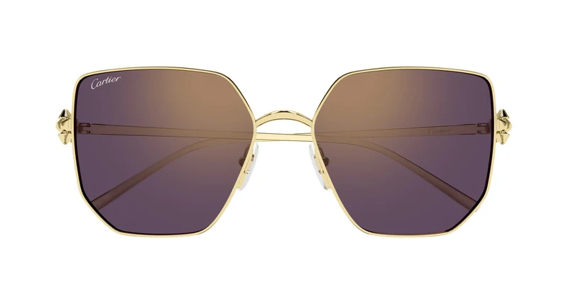 Cartier CT0645S 002 56