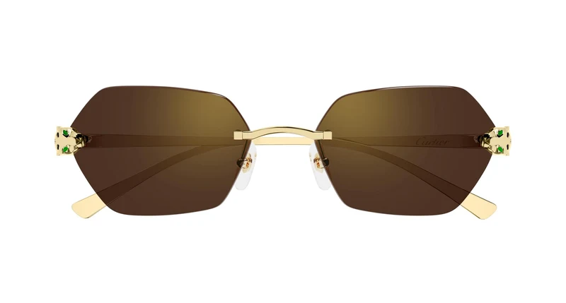 Cartier CT0636S 002 55