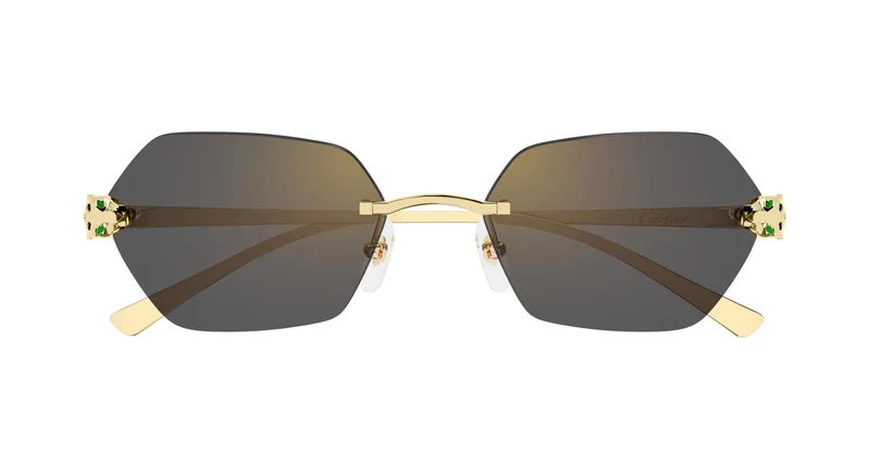 Cartier CT0636S 001 55