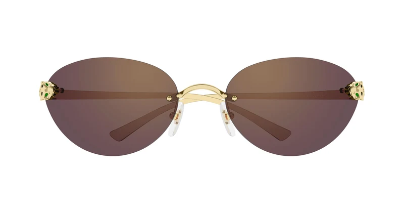 Cartier CT0635S 004 72