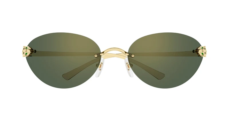 Cartier CT0635S 003 72