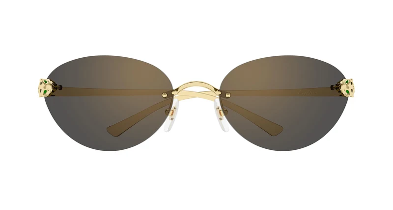 Cartier CT0635S 001 72