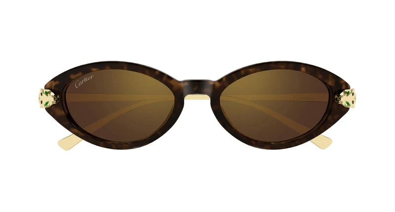Cartier CT0634S 002 52