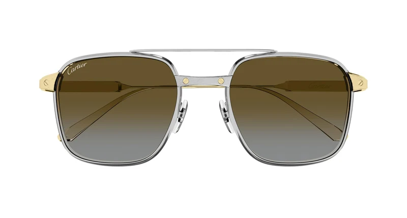 Cartier CT0610S 003 54