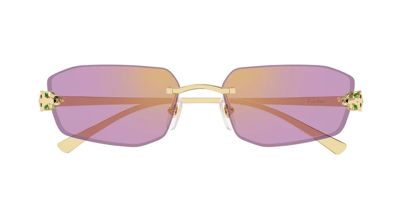 Cartier CT0474S 006 56