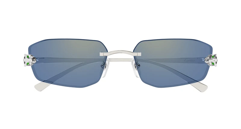 Cartier CT0474S 005 56