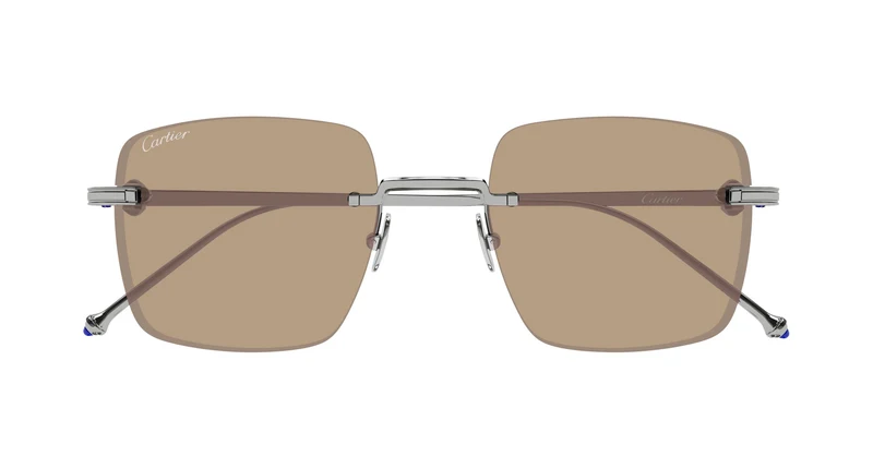 Cartier CT0403S 005 52