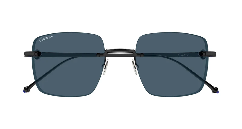 Cartier CT0403S 004 52