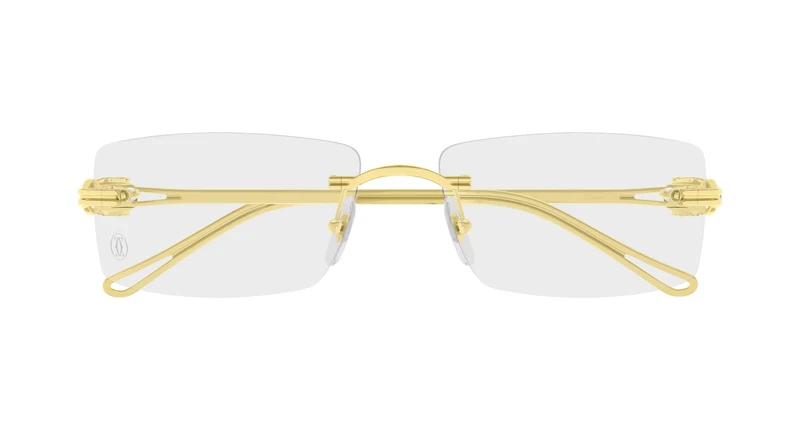 Cartier CT0647O 002 57