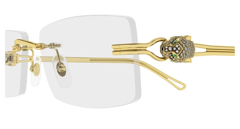 Cartier CT0647O 002 57