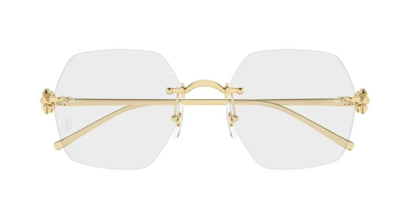 Cartier CT0646O 001 54