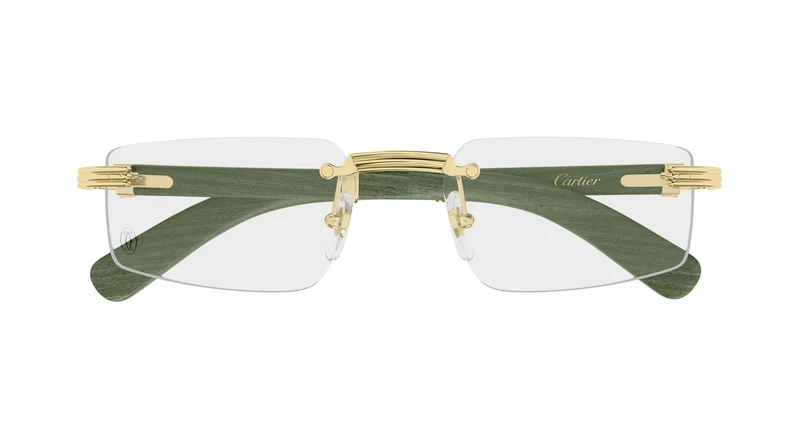 Cartier CT0485O 006 55