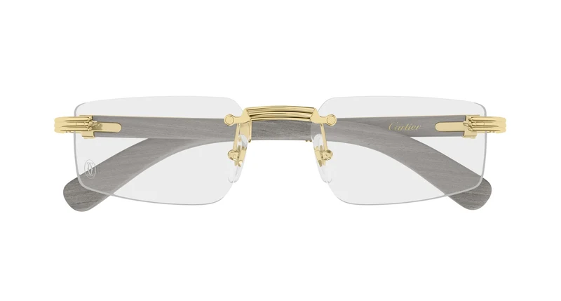 Cartier CT0485O 005 55