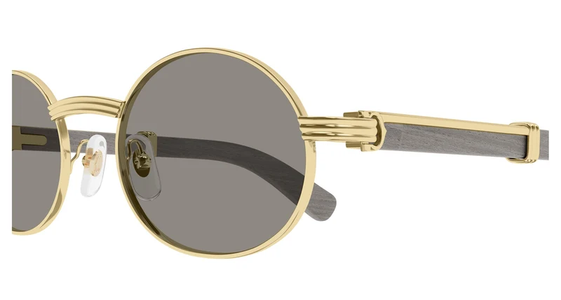 Cartier CT0464S 021 55