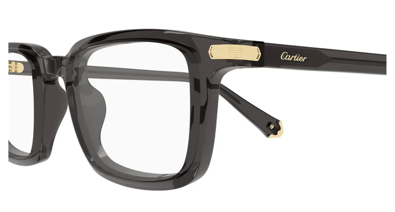 Cartier CT0586O 008 53