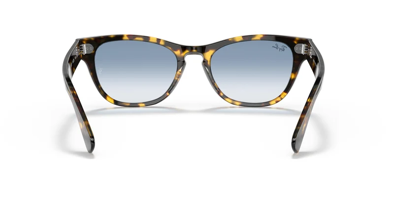 Ray-Ban RB2201 LARAMIE 13323F 54